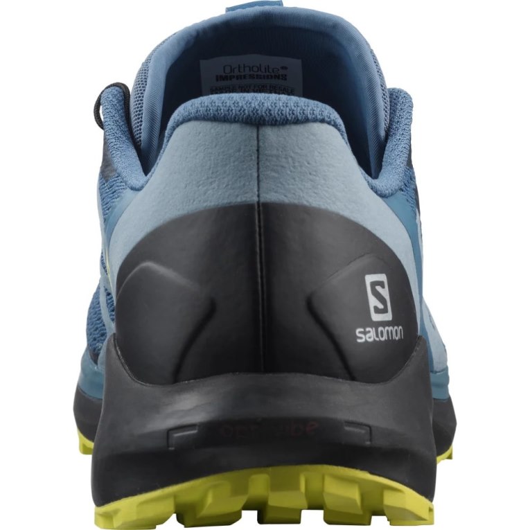 Sapatilhas Trail Running Salomon Sense Ride 4 Masculino Azuis | PT B86290